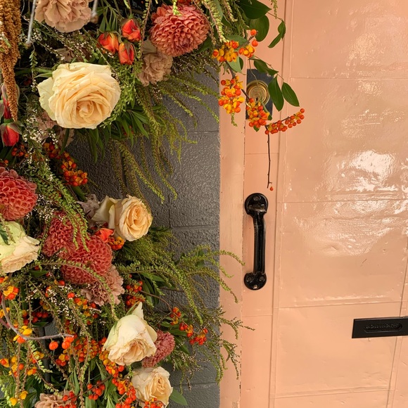 Meet your Posher, Addie - Picture 3 of 3